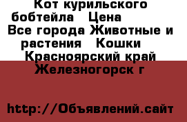 Кот курильского бобтейла › Цена ­ 5 000 - Все города Животные и растения » Кошки   . Красноярский край,Железногорск г.